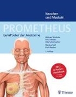 Bild von PROMETHEUS LernPoster der Anatomie, Knochen und Muskeln von Schünke, Michael 