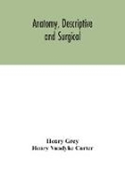 Bild von Anatomy, Descriptive and Surgical von Grey, Henry 