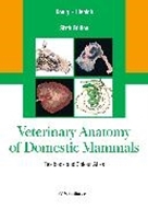 Bild von Veterinary Anatomy of Domestic Mammals (eBook) von König, Horst Erich (Hrsg.) 