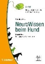 Bild von NeuroWissen beim Hund von Beitz-Radzio, Christina