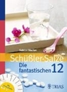 Bild von Schüßler-Salze: Die fantastischen 12 (eBook) von Wacker, Sabine